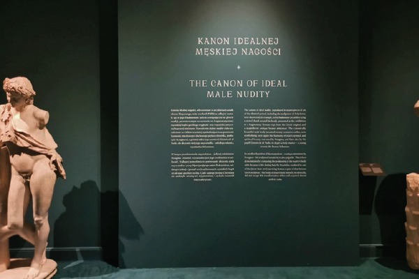 Custom wall mural printing for museum and exhibition interiors